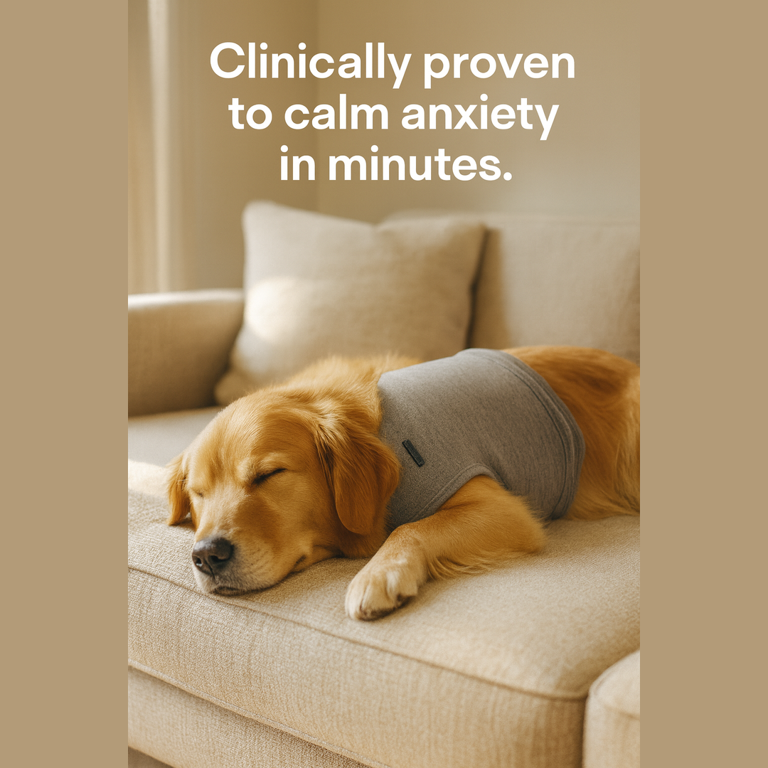 FurryCalms Dog Anxiety Relief Vest